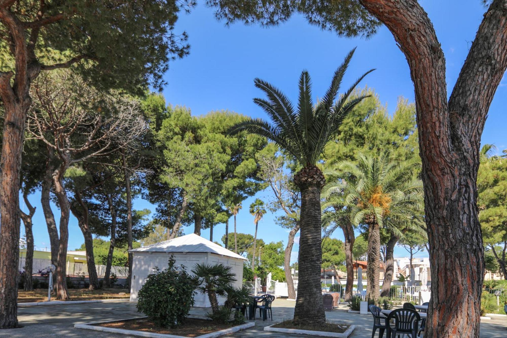 Ventana Del Mar Bed & Breakfast Giovinazzo Dış mekan fotoğraf